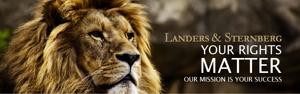 Landers & Sternberg PLLC